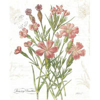 January Dianthus on White -Paper Art-30"x37"