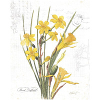 March Daffodil on White -Paper Art-18"x22"