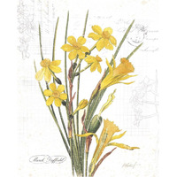 March Daffodil on White -Paper Art-30&quotx37"