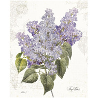 May Lilac on White -Paper Art-18"x22"