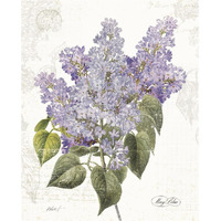 May Lilac on White -Paper Art-30&quotx37"