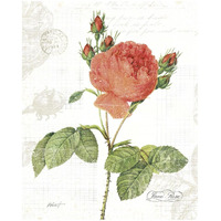 June Rose on White -Paper Art-18"x22"