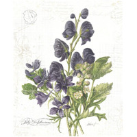 July Delphinium on White -Paper Art-18&quotx22"