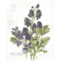 July Delphinium on White -Paper Art-22&quotx26"