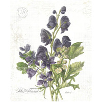 July Delphinium on White -Paper Art-24&quotx30"