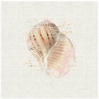 Shell Collector V -Paper Art-26"x26"