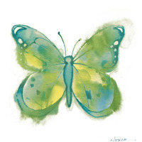 Birdsong Garden Butterfly II on White -Paper Art-26"x26"