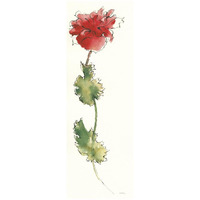 Peony Form Poppies I -Paper Art-20&quotx56"