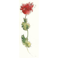 Peony Form Poppies I -Paper Art-26"x74"