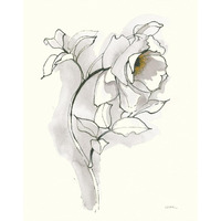 Carols Roses III Soft Gray -Paper Art-30&quotx37"