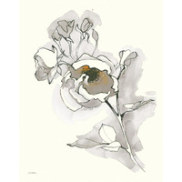 Carols Roses IV Tan -Paper Art-30"x37"