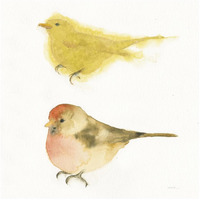 Watercolor Birds I Sq -Paper Art-26"x26"