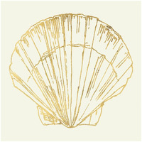 Coastal Breeze Shell Sketches V -Paper Art-26"x26"