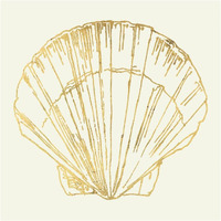 Coastal Breeze Shell Sketches V -Paper Art-32"x32"