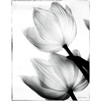 Translucent Tulips II -Paper Art-24"x30"