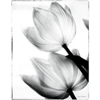 Translucent Tulips II -Paper Art-30"x37"