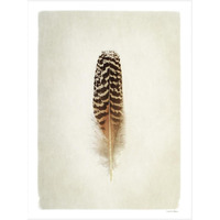 Feather I -Paper Art-14"x18"