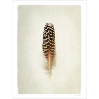 Feather I -Paper Art-20"x26"