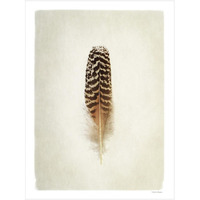 Feather I -Paper Art-26&quotx34"