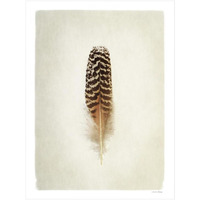 Feather I -Paper Art-32"x42"