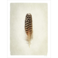 Feather I -Paper Art-38"x50"