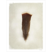 Feather III -Paper Art-26"x34"