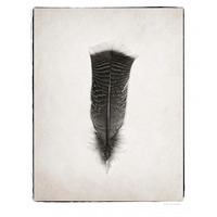 Feather III - BW -Paper Art-18"x22"