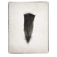 Feather III - BW -Paper Art-22&quotx26"