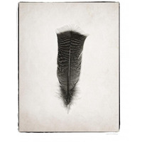 Feather III - BW -Paper Art-24"x30"