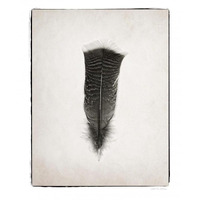 Feather III - BW -Paper Art-30"x37"