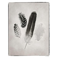 Feather Group I - BW -Paper Art-18&quotx22"