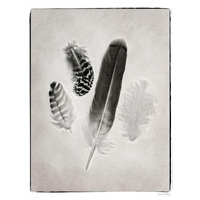 Feather Group I - BW -Paper Art-24"x30"