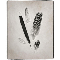 Feather Group II - BW -Paper Art-18&quotx22"