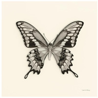 Butterfly VI - BW -Paper Art-26"x26"