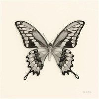 Butterfly VI - BW -Paper Art-32"x32"