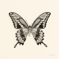 Butterfly VI - BW -Paper Art-38"x38"