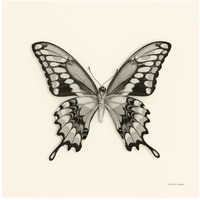 Butterfly VI - BW -Paper Art-42"x42"