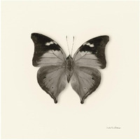 Butterfly VII - BW -Paper Art-26"x26"