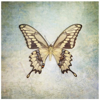 French Butterfly VI -Paper Art-26"x26"