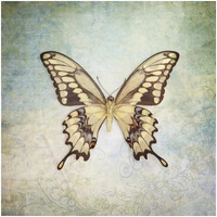 French Butterfly VI -Paper Art-32"x32"