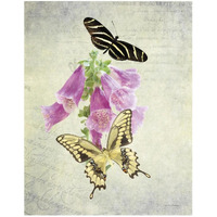 Butterfly Botanical IV -Paper Art-22"x26"