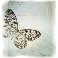 Floating Butterfly IV -Paper Art-26"x26"