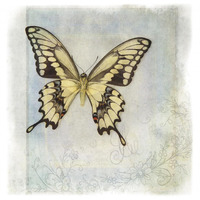 Floating Butterfly V -Paper Art-38"x38"