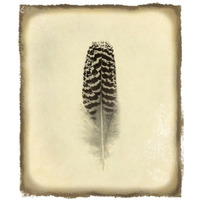 Feather I Vintage -Paper Art-15.44"x18"