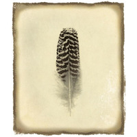 Feather I Vintage -Paper Art-27.2"x32"