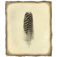 Feather I Vintage -Paper Art-32.24"x38"