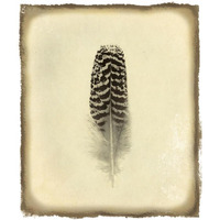 Feather I Vintage -Paper Art-35.6"x42"