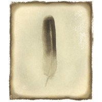 Feather II Vintage -Paper Art-20.7&quotx24"