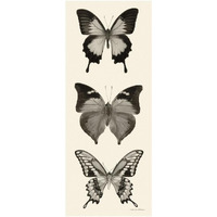 Butterfly - BW Panel I -Paper Art-14&quotx32"