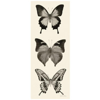 Butterfly - BW Panel I -Paper Art-18&quotx42"